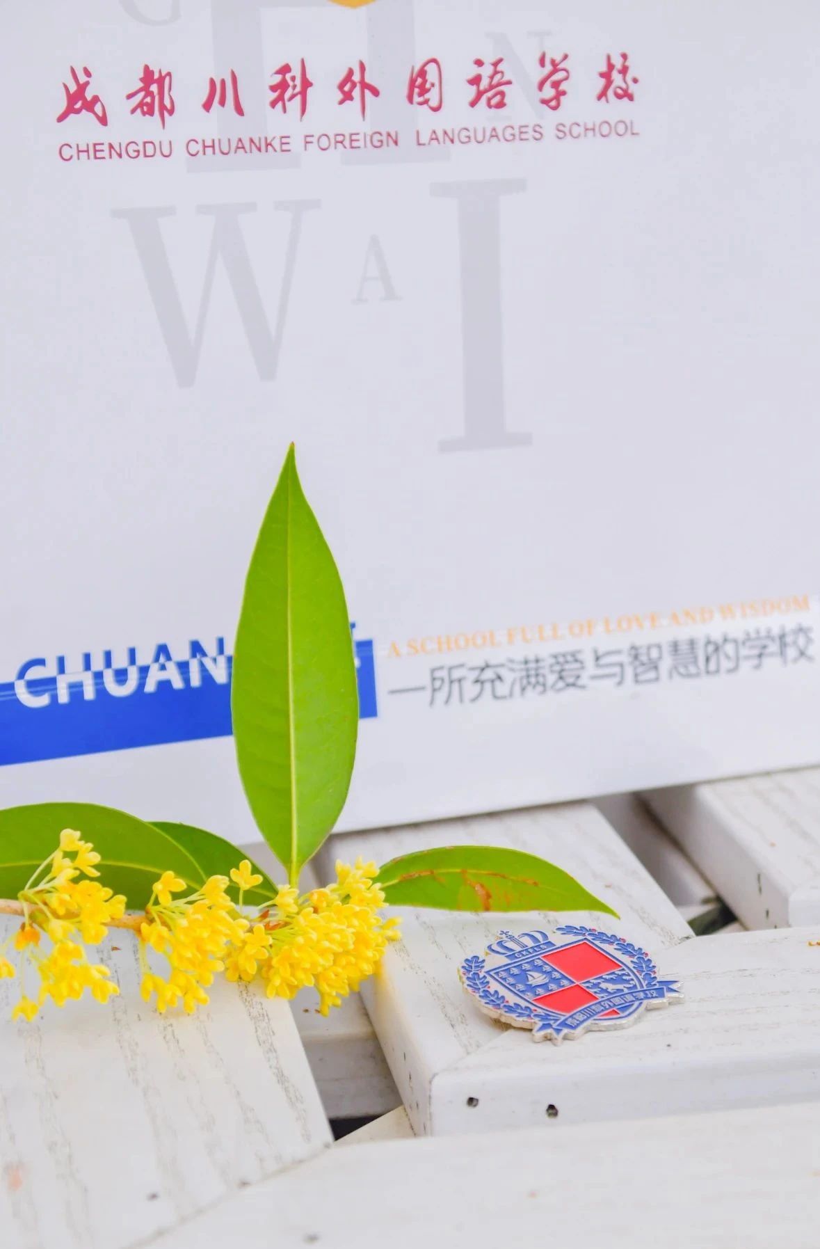 pong香！成川外校园里连风都是桂花味！(图10)