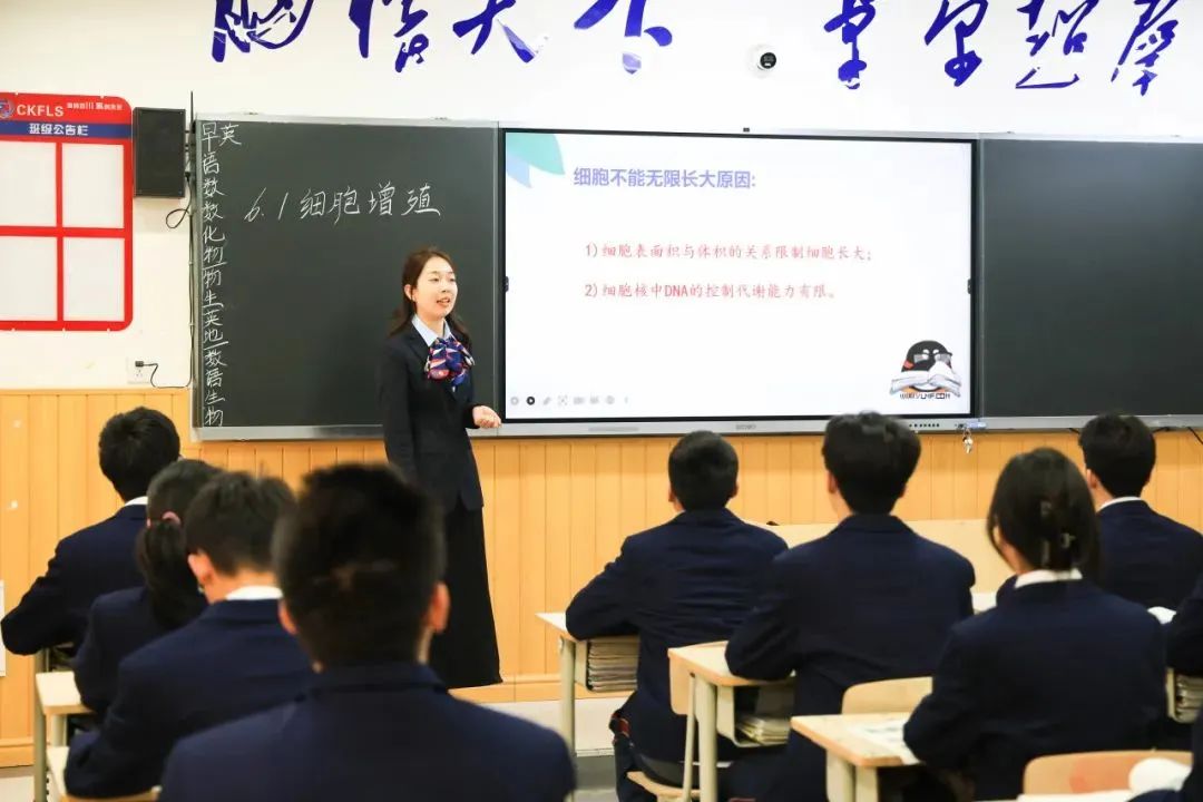 全区表彰公示，成川外教师榜上有名！(图13)
