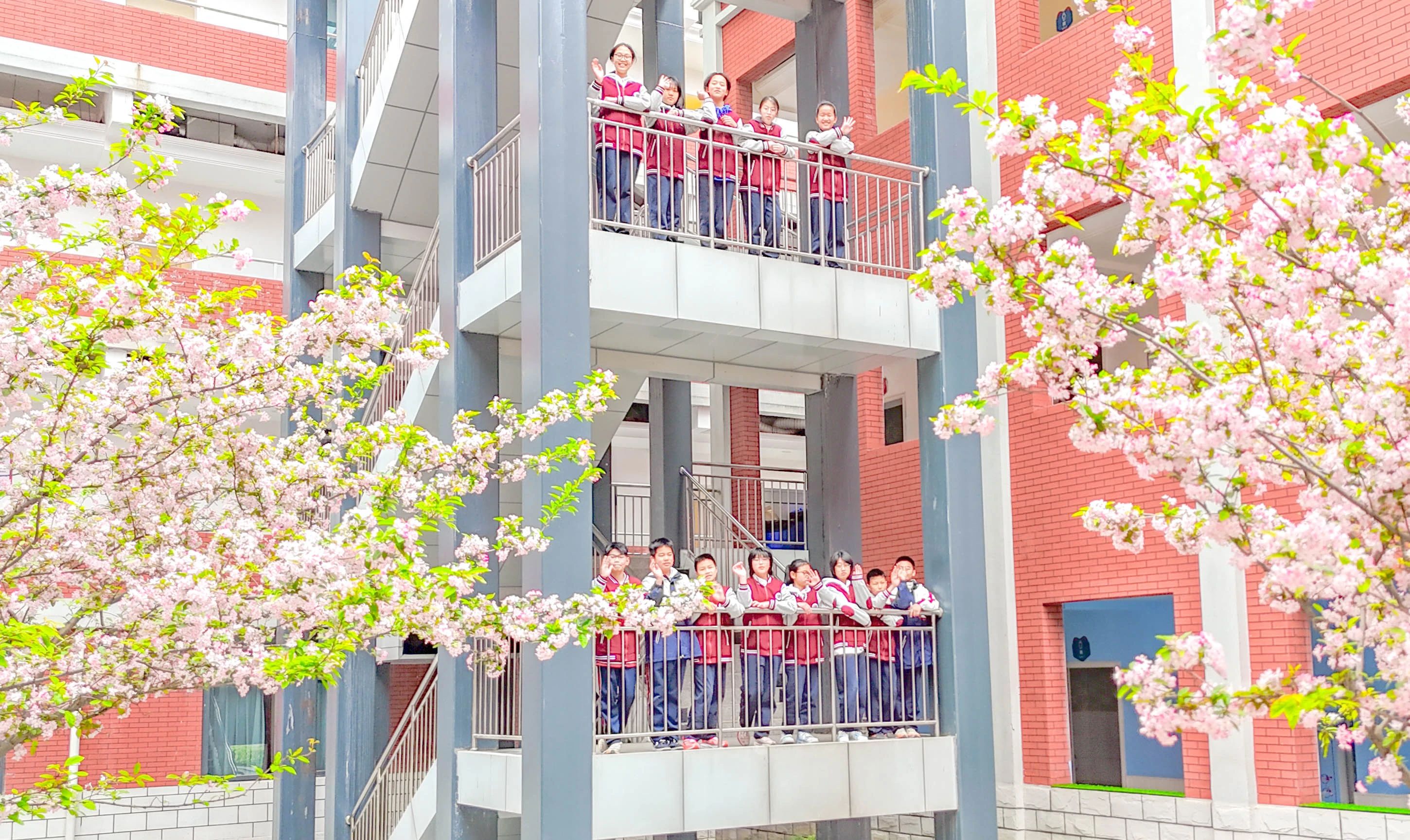 四月的成川外校园，变成了花海！(图14)