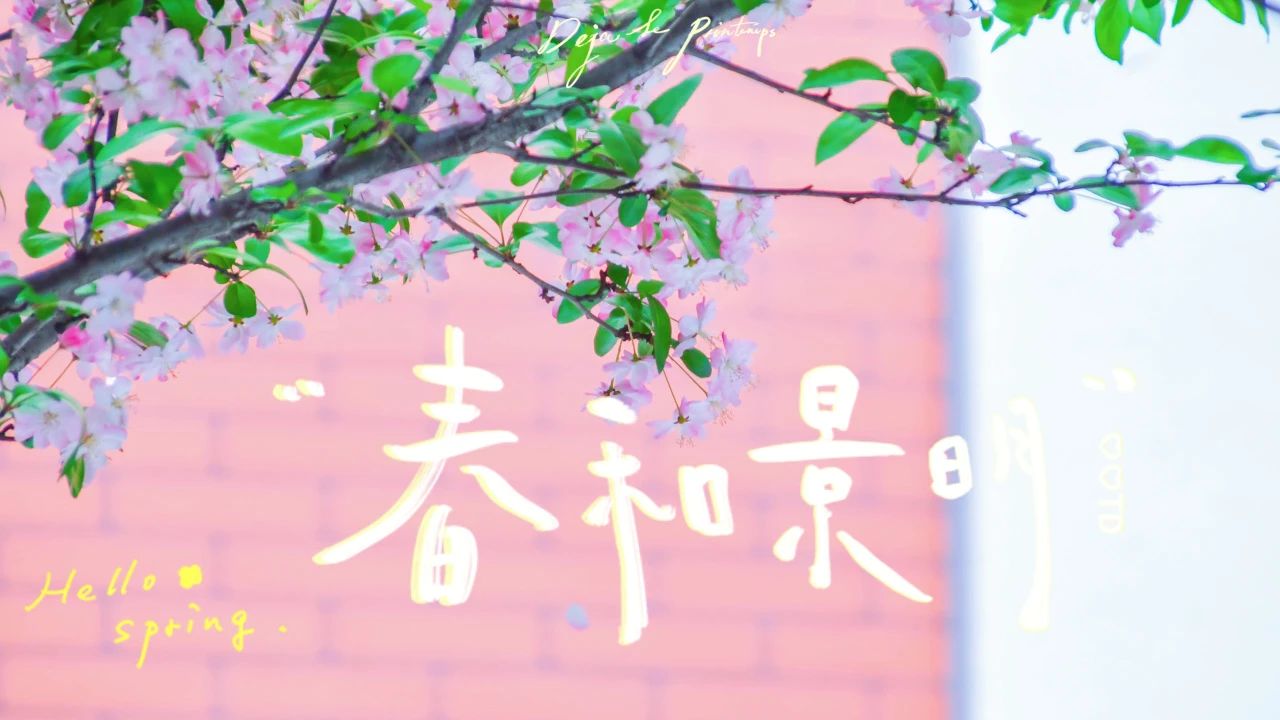 四月的成川外校园，变成了花海！(图23)