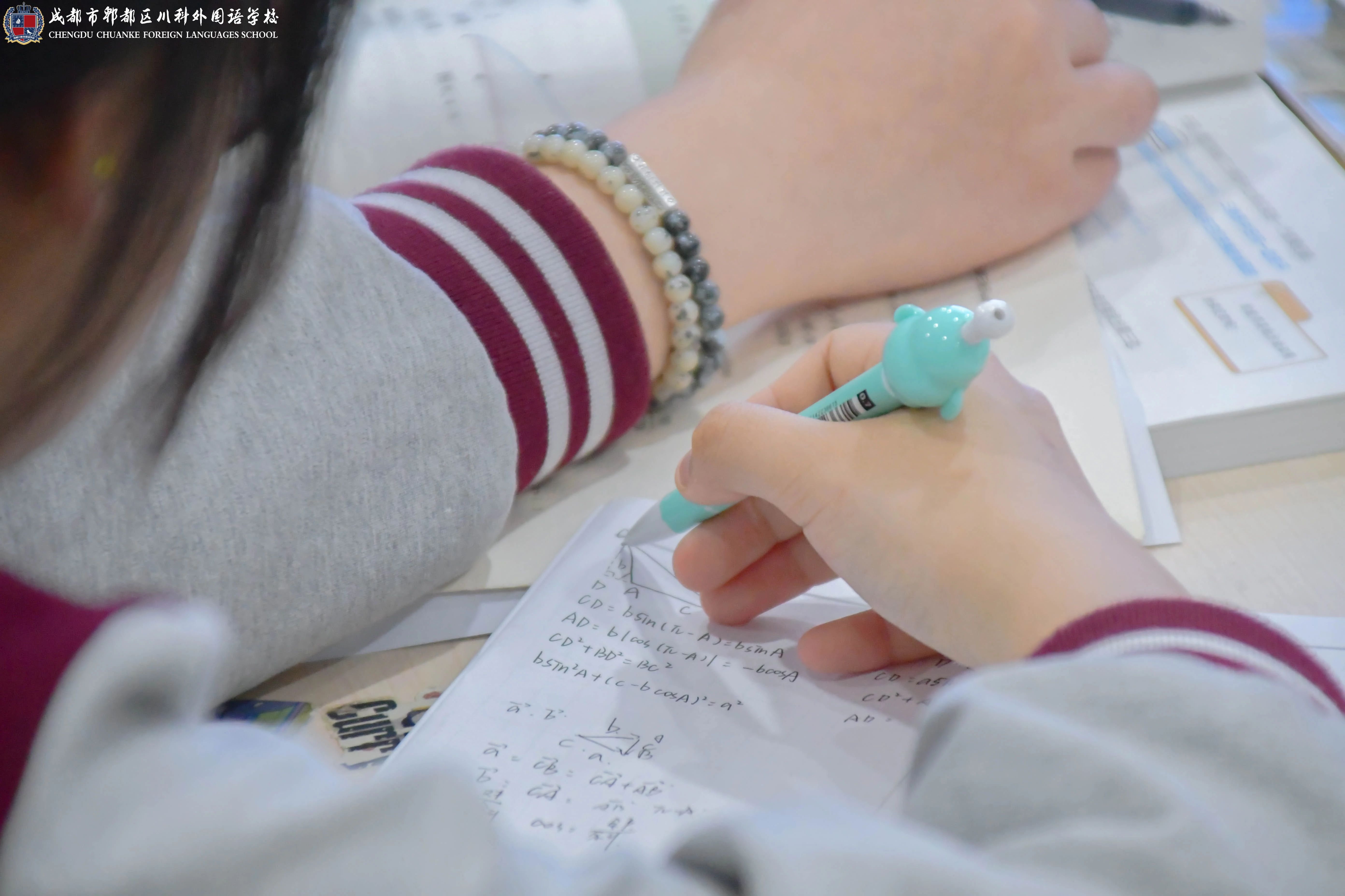 教学精英争霸赛，谁是霸主？(图13)